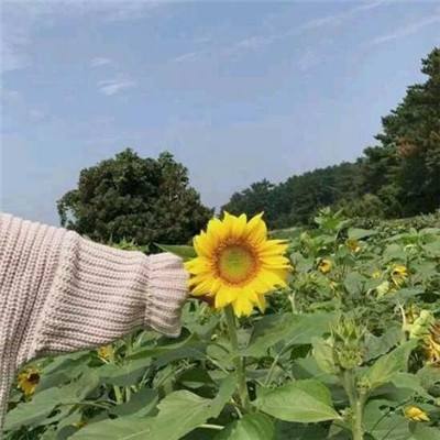 你的西游游戏