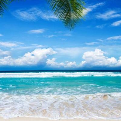 代号英雄测试版下载